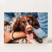 Fotopuzzle aus Bausteinen personalisiert – 16.5cm x 10.5cm (60 Steine)